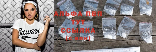 эйфоретик Арсеньев
