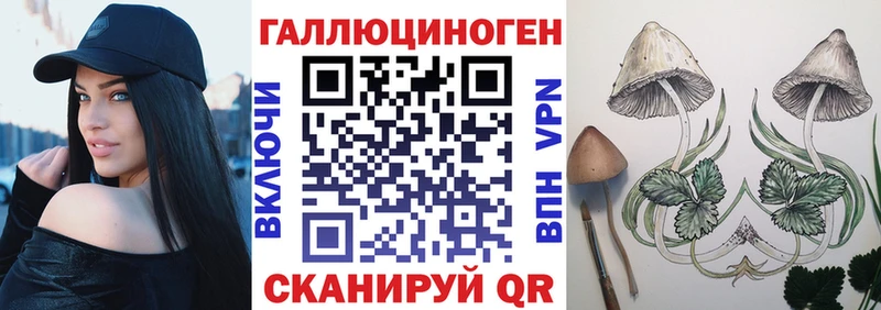 Псилоцибиновые грибы Cubensis  дарк нет телеграм  Урус-Мартан  купить наркоту 